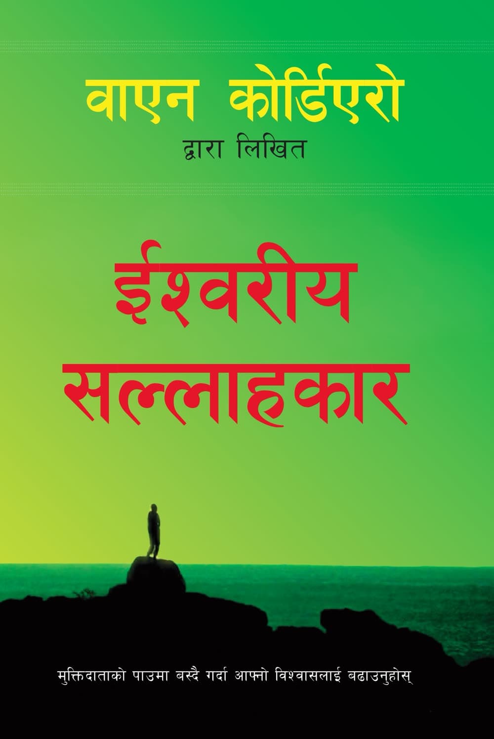 Cover of Divine Mentor